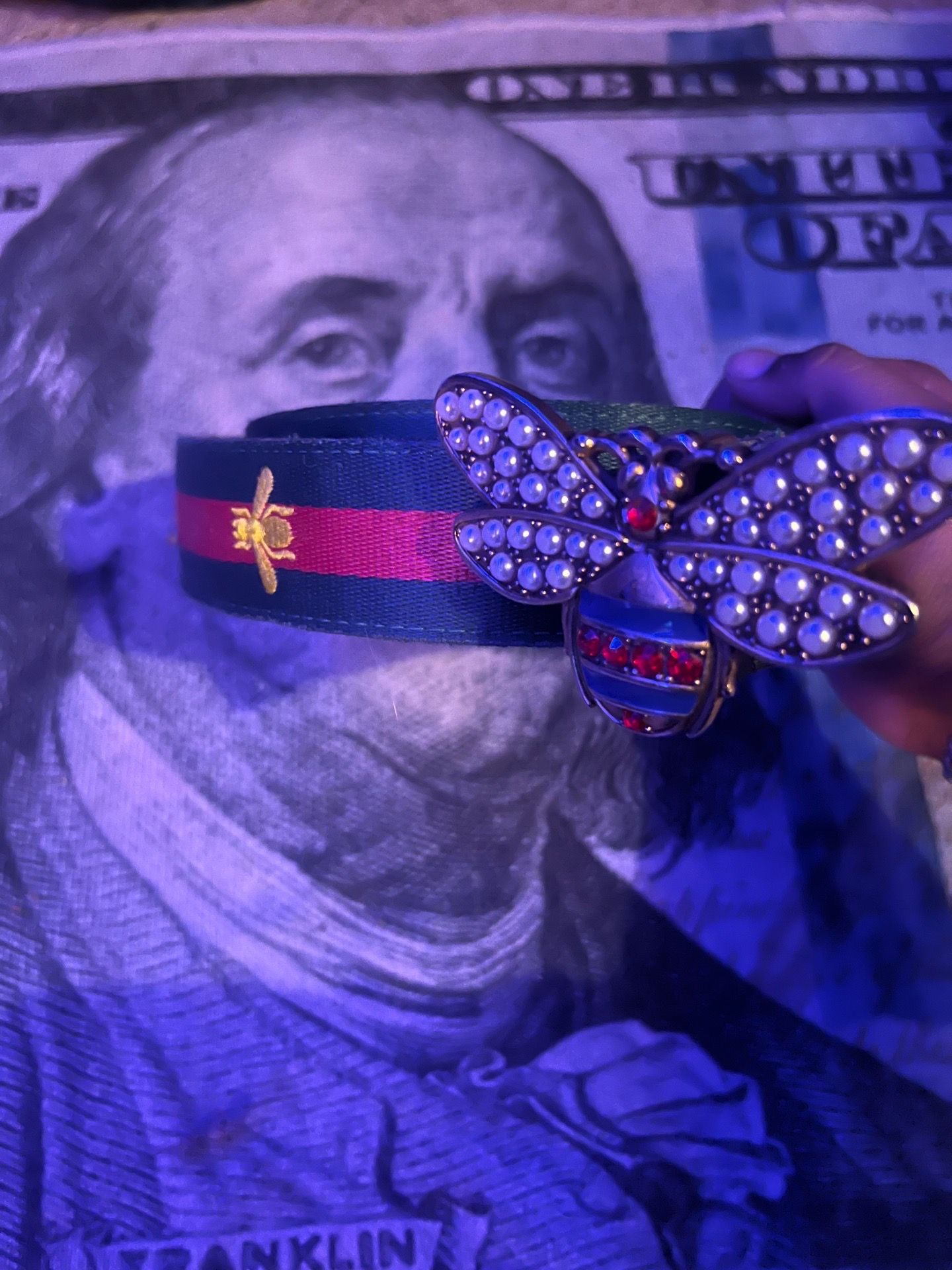 Gucci Web Queen Margaret bee belt