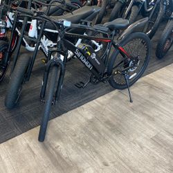 Sinohon EM200D EBike