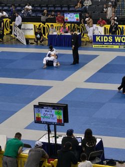 BJJ MAA wrestling Mats