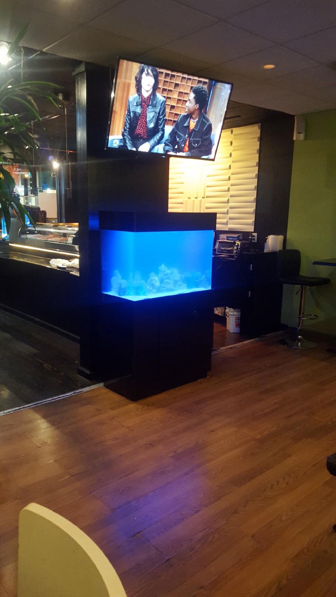 Fish Aquatic Tank