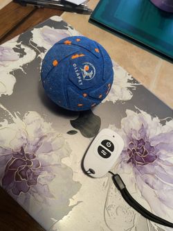 OLLAPET Electric Dog Ball