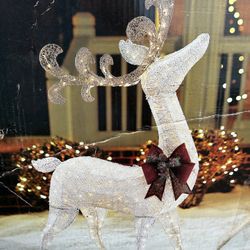 7 Foot Light Up Outdoor Christmas Decoration 