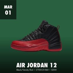Retro 12 Flu Game 