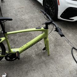 Electric Specialized 