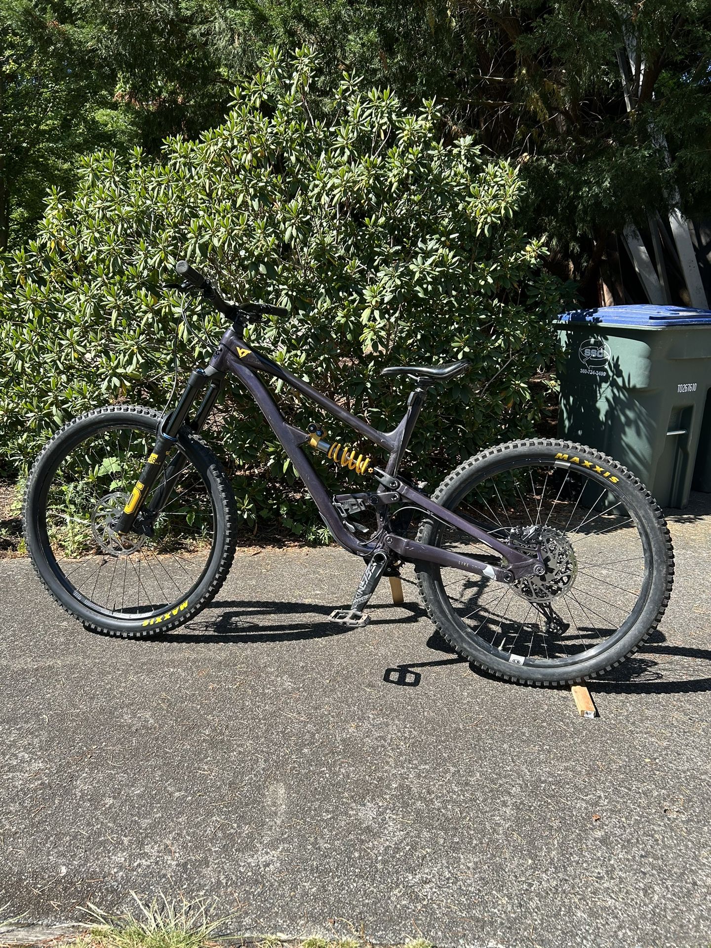2022 YT Capra Mullet