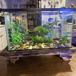 5.5 G Betta Tank And Custom Stand