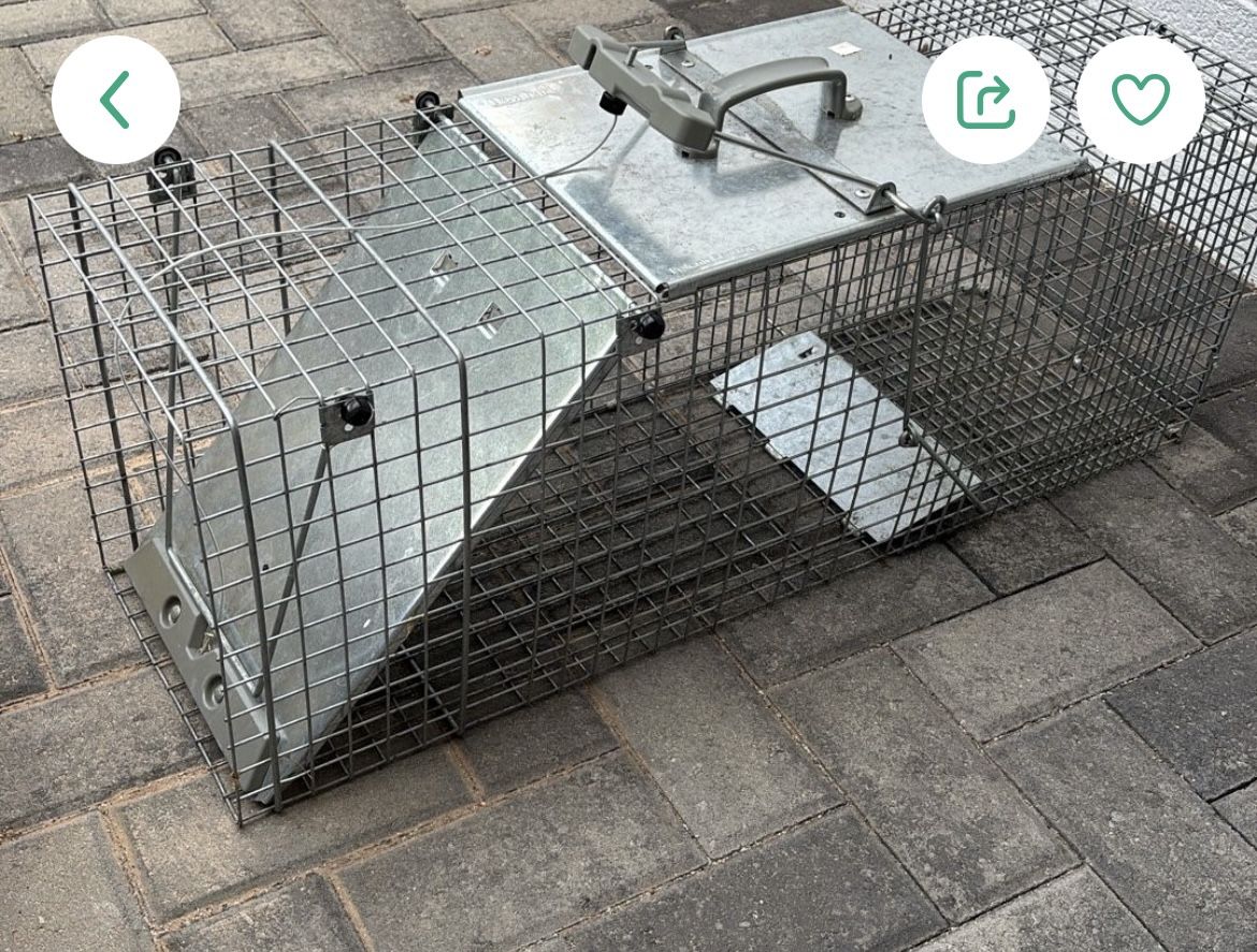 Animal Trap