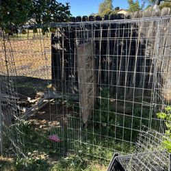 Jaula Para Perro Ho Pollos Son Dos 25 Cada Una