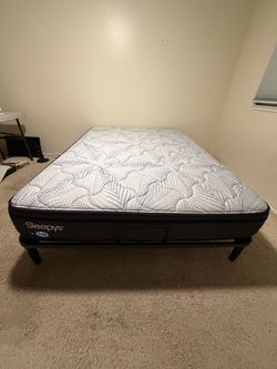 Queen Bed