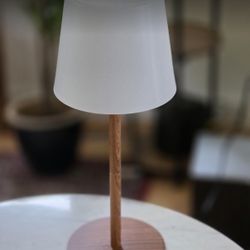 EZVALO Outdoor Cordless Table Lamp
