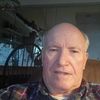 Bill Williams