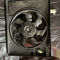Fan