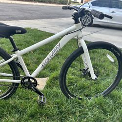 Gravity - Monocog Single Speed MTB 29’er