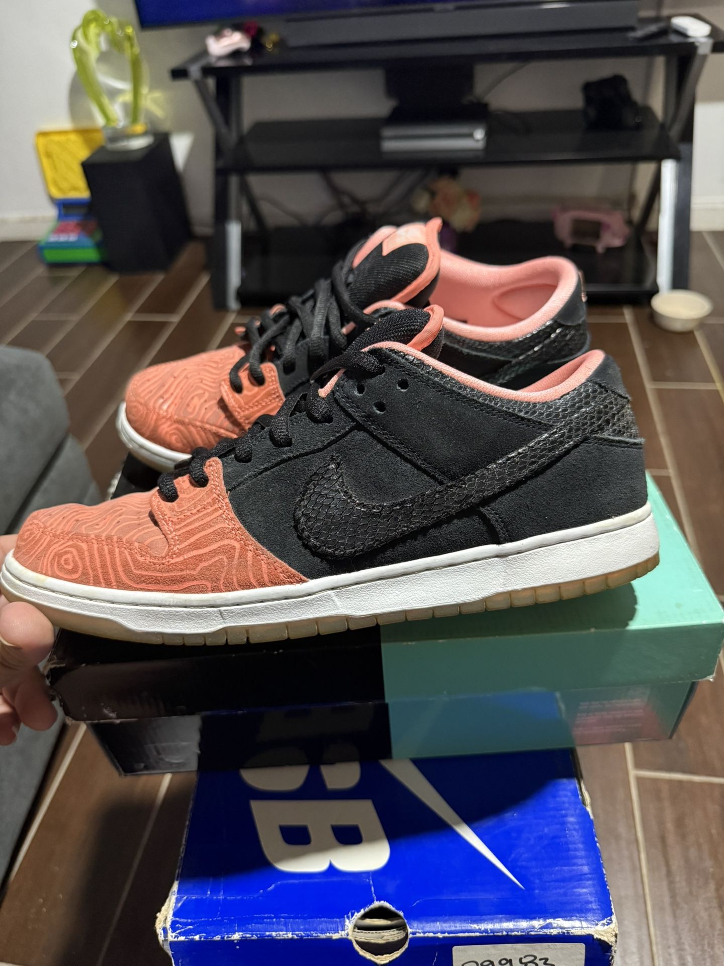 Nike SB Dunk Low Fish Ladder