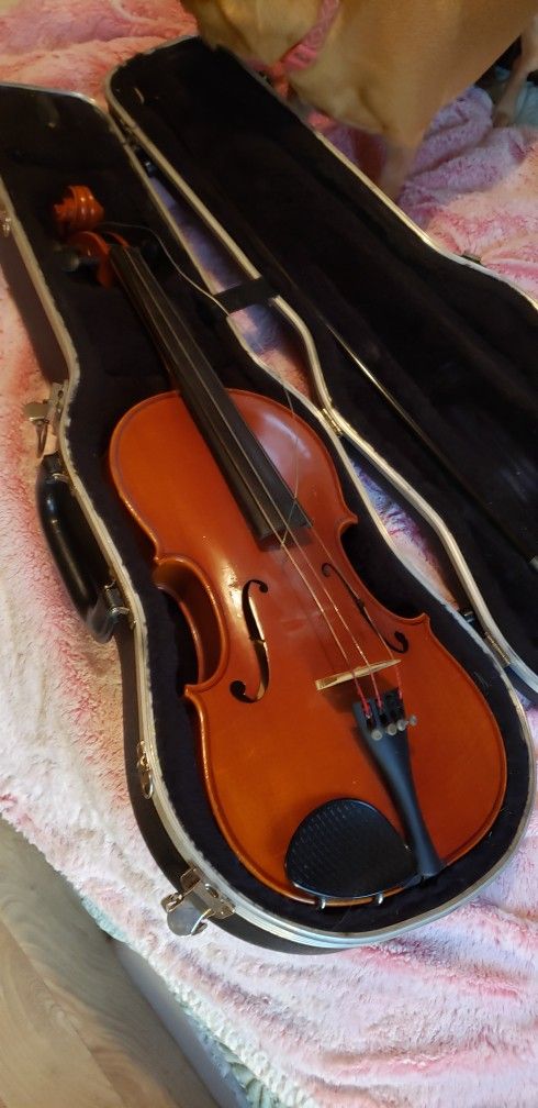 Strobel Violen