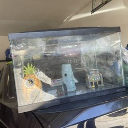 Fish Tank With Accessories 