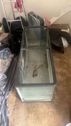 100 gallon fish tank