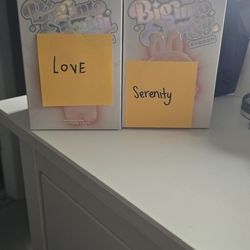 !!!!!Big Into Energy Labubus!!!