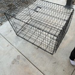 dog kennel