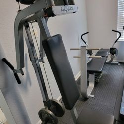 Body Solid Pec Dec Machine