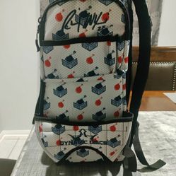 Disc Golf Bag