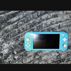 Nintendo switch lite