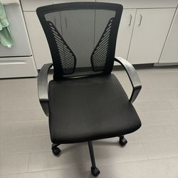 Office Chairs (Qty 2)