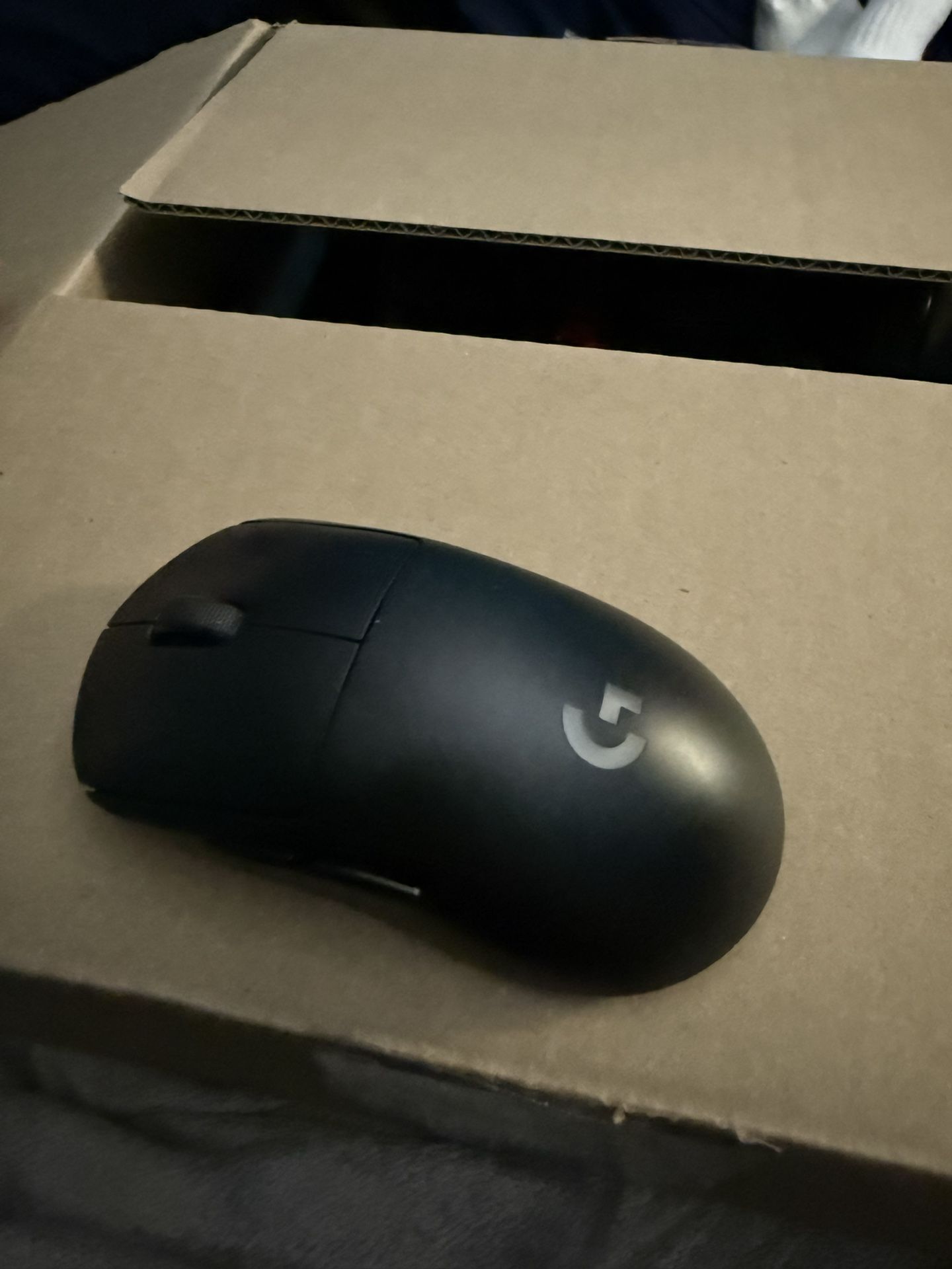 Mouse