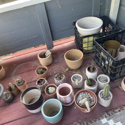 Assorted Plant Pots 