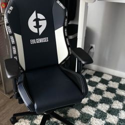 Secret Lab Titan gaming chair