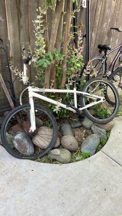 Haro 24 inch