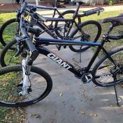 3 Bikes For $600