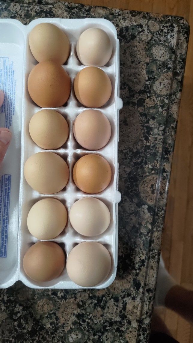 Eggs