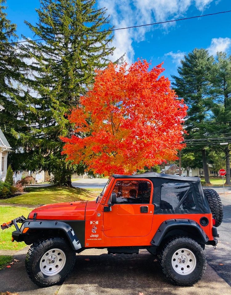 2004 Jeep Wrangler