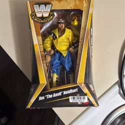 WWE Action Figure