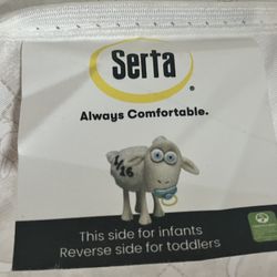 Crib Mattress & Protector Pad