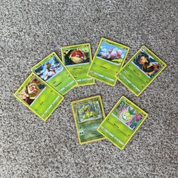 Pokémon Leaf Team Pack