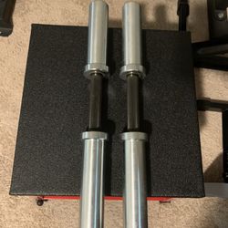 ROGUE DB-15 Loadable Dumbbells 