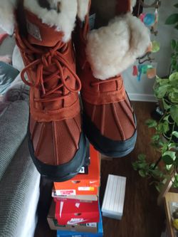Bearpaw