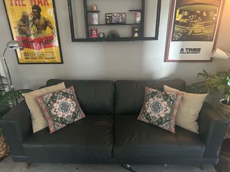Dark Forest Green Sofa