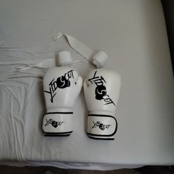 12oz White Boxing Gloves And White Venum Wraps