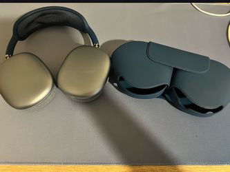Apple Headphones Blue (Read not $1)