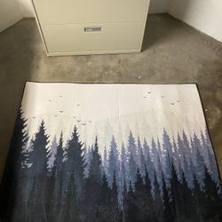 Rug For Kitchen/Living Room/Bedroom 