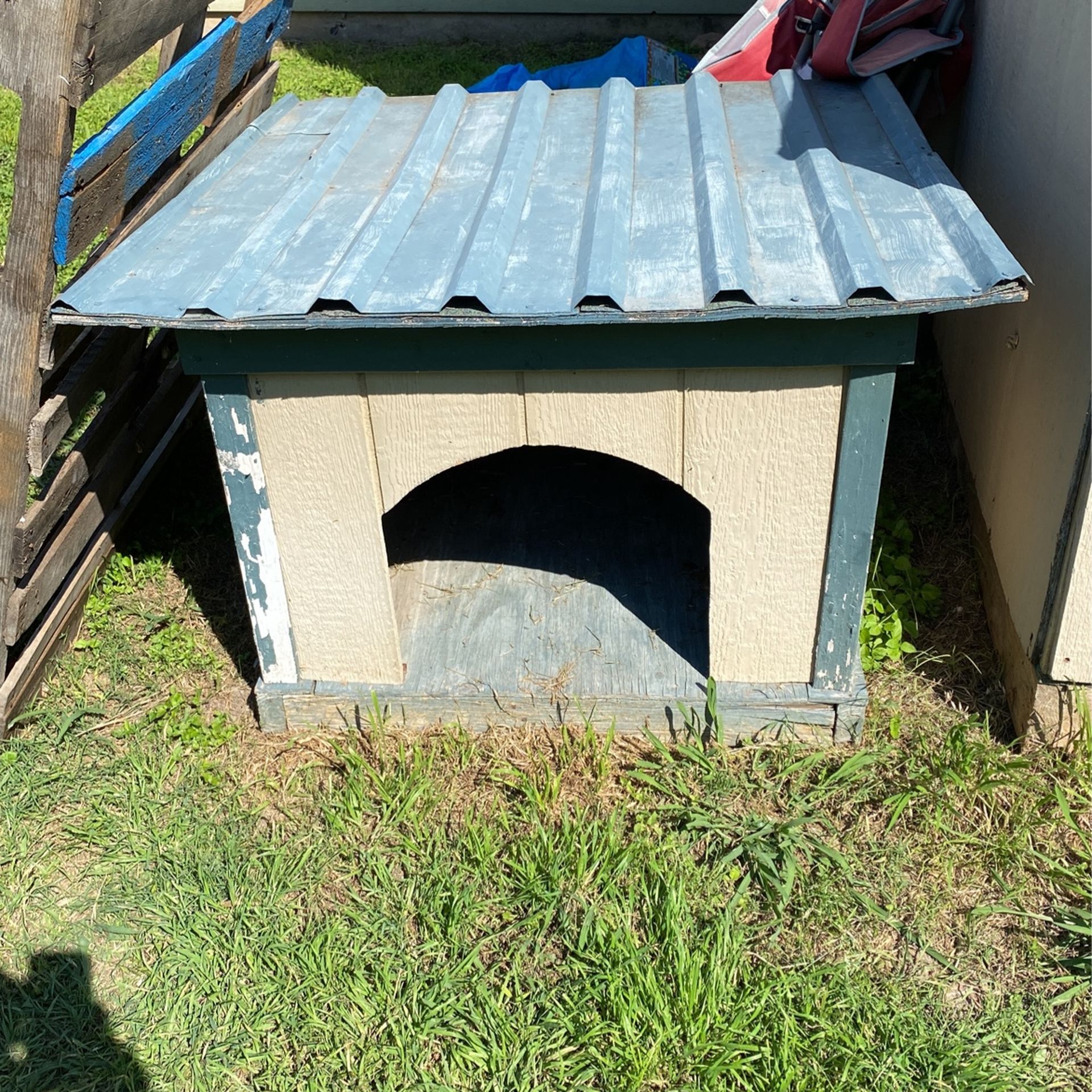 Dog House