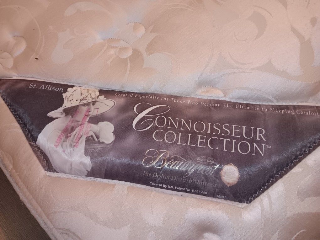 Queen Matress And Box Spring 