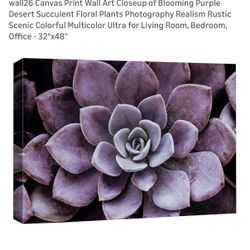 32”x48”x1.5” Canvas Wrapped Succulent Painting