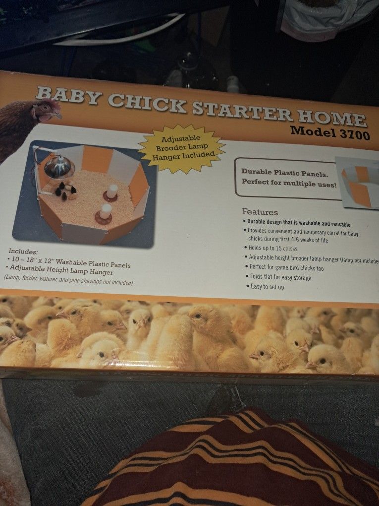 Baby Chic Starter Home