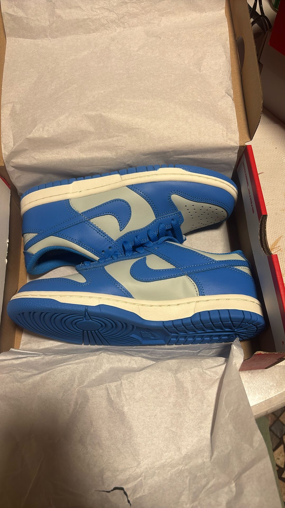 Nike Dunks Youth 4.5 