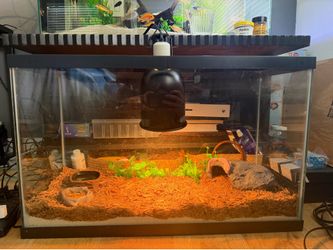45 Gallon Glass Tank