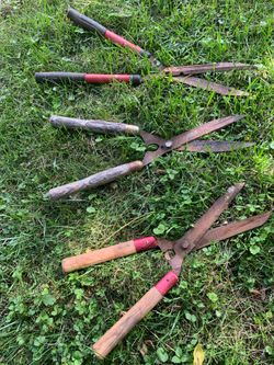 Vintage Hedge Sheers